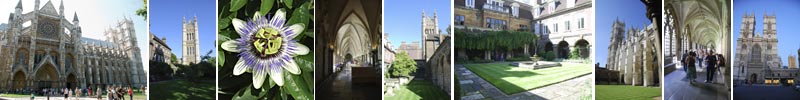 Westminster Abbey Collage