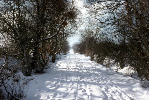 Brown Clee Service Road 