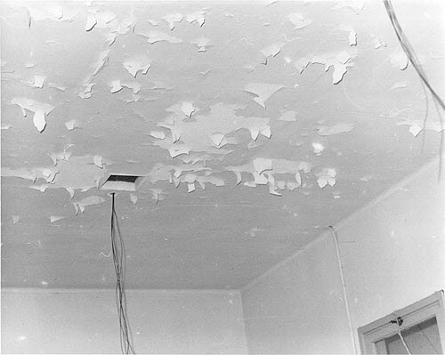 Ceiling 01