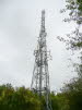 Wiltshire Police (Firth Copse)